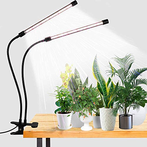 Best Grow Light for Vegetables